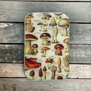 Mushroom tin LARGE, Notions tin, Stitch marker tin 006 image 4