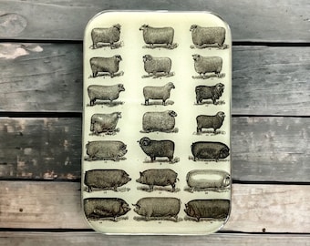 SMALL Sheep and pigs tin, pill box, treasure box