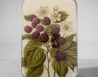 Wild Blackberry Botanical Tin