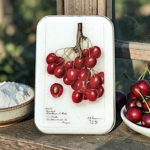 May include: A rectangular tin featuring a botanical illustration of cherries. The image shows a cluster of ripe, red cherries with green stems, and a cross-section of a cherry. Text includes "Lambat, Miss Clara L. Holt, Corvallis, Multnomah Co., Oregon."