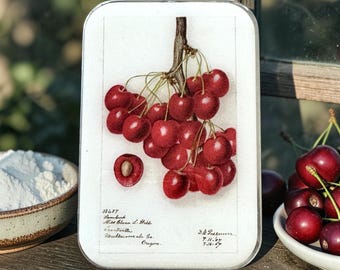 Botanische Kirschblütendose aus Blech