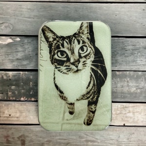 Cat knitting notions Tin SMALL, pill box (026)