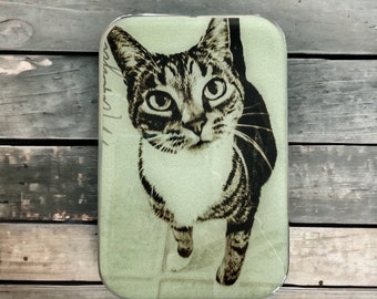 Artículos de punto para gatos Lata pequeña, pastillero (026)