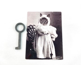 Katze Magnet, Katze in Kleidung Magnet