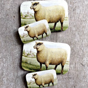 Vintage Sheep Print Tin: Large Slider Box