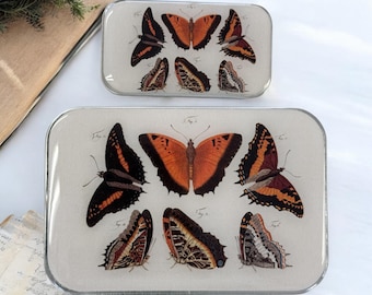 Orange Schmetterlinge Notions Dose GROSS