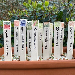 Individual Garden marker, fruit and citrus choices