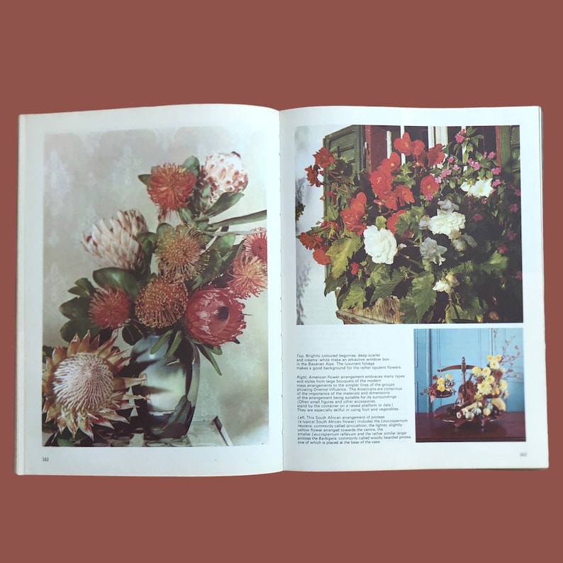 May include: An open book displays floral arrangements. One page features a vase of protea flowers in shades of red, orange, and cream. The opposite page shows a window box overflowing with red and white begonias. Text accompanies the images.