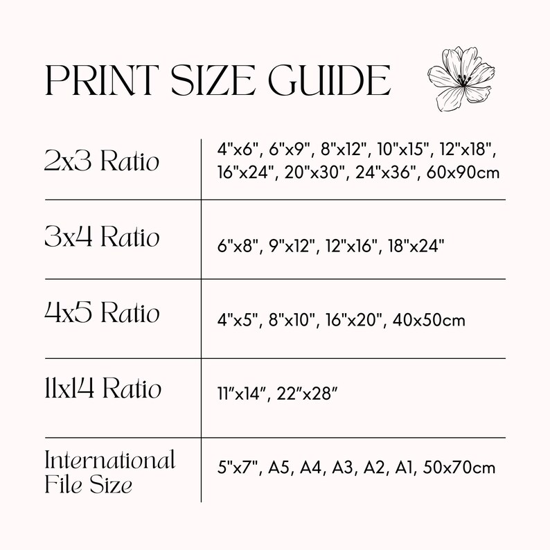 May include: A print size guide with different ratios and measurements in inches and centimeters. The ratios include 2x3, 3x4, 4x5, and 11x14. International file sizes are also listed, including 5"x7", A5, A4, A3, A2, A1, and 50x70cm.
