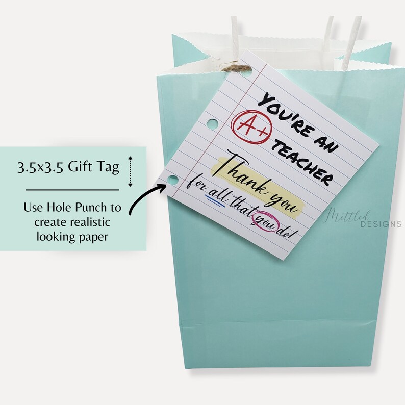 May include: A light blue gift bag with a white gift tag that says "You're an A+ Teacher Thank you for all that you do!" The gift tag is 8.9 cm by 8.9 cm and has a hole punched in the top left corner.