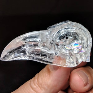 Clear Raven Quartz Crystal Skull Necklace! Natural Stone Carving. Realistic Pagan Mineral Bird Crow Pendant. Great Clarity Home Decor Ritual