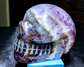 AURALITE 23 Crystal Skull! World Class Genuine Ancient Quartz Carved Amethyst Geometric Patterns! Star Being Home Decor Similar to Super 7