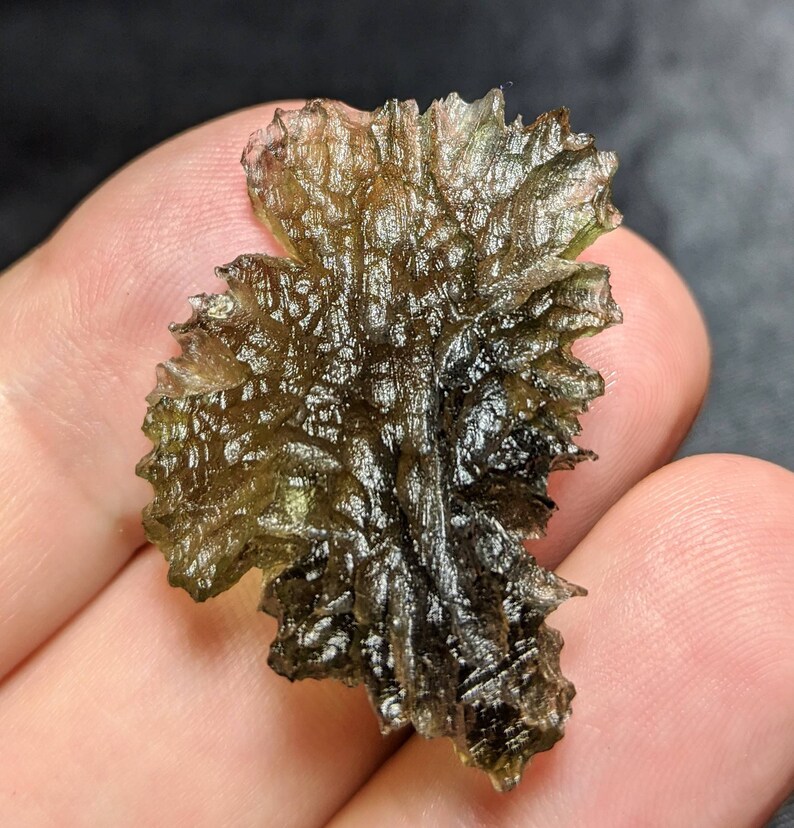 BESEDNICE MOLDAVITE CRYSTAL World Class Large 6 Plus Grams
