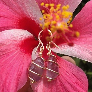 Può includere: Orecchini in ametista viola con avvolgimento in filo d'oro. Gli orecchini sono appesi a un fiore di ibisco rosa.