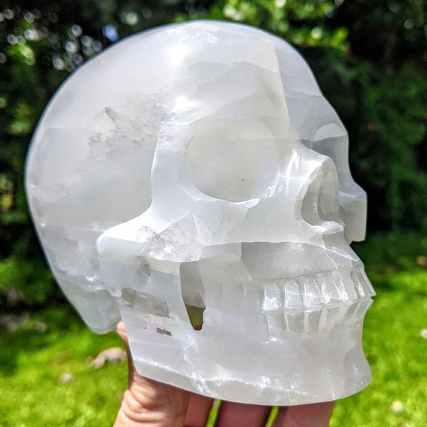 ANGEL White Selenite Crystal Skull! HUGE FLASH World Class 3lbs Hand Carved to Perfection with Gorgeous Chatoyancy.