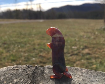 Marmotta di vetro paziente