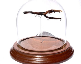 Raindrop Branch Bell Jar