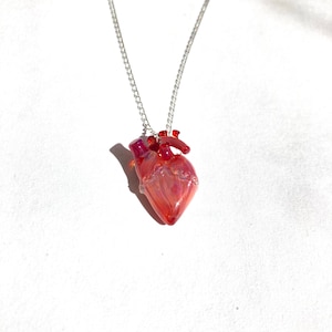 Really Tiny Glass Heart on a Chain Anatomical