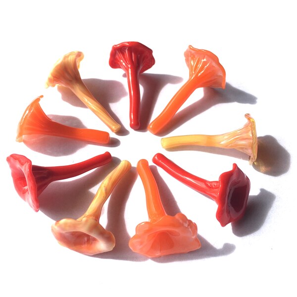 Champignons girolles en verre