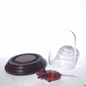 Anatomical Heart in a Bell Jar image 7