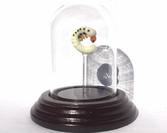 Glass Grub in a Bell Jar