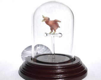 Baby Bird in a Bell Jar