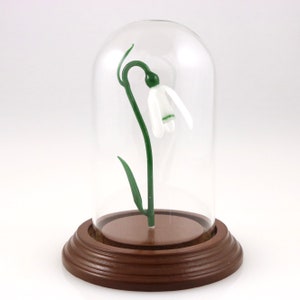 Glass Snow Drop Flower in A Bell Jar