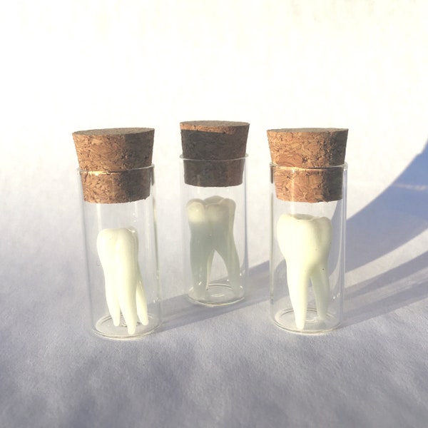 Glass Tooth in a Jar