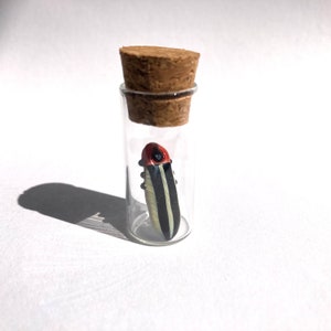 May include: A small glass vial with a cork stopper contains a miniature, detailed insect figurine. The insect has a red head, black and white striped body, and is enclosed in the clear glass bottle. The vial is on a white surface.