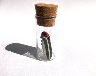 Lightning Bug in a Jar