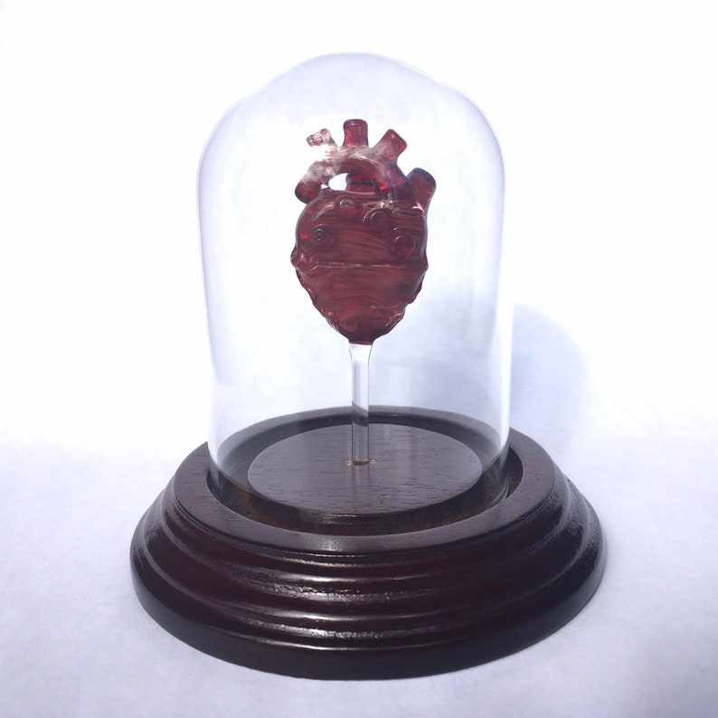 Anatomical Heart in a Bell Jar image 2