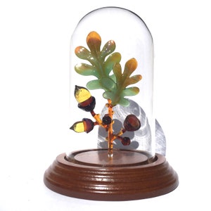 Oak Leaf and Acorns in a Bell Jar