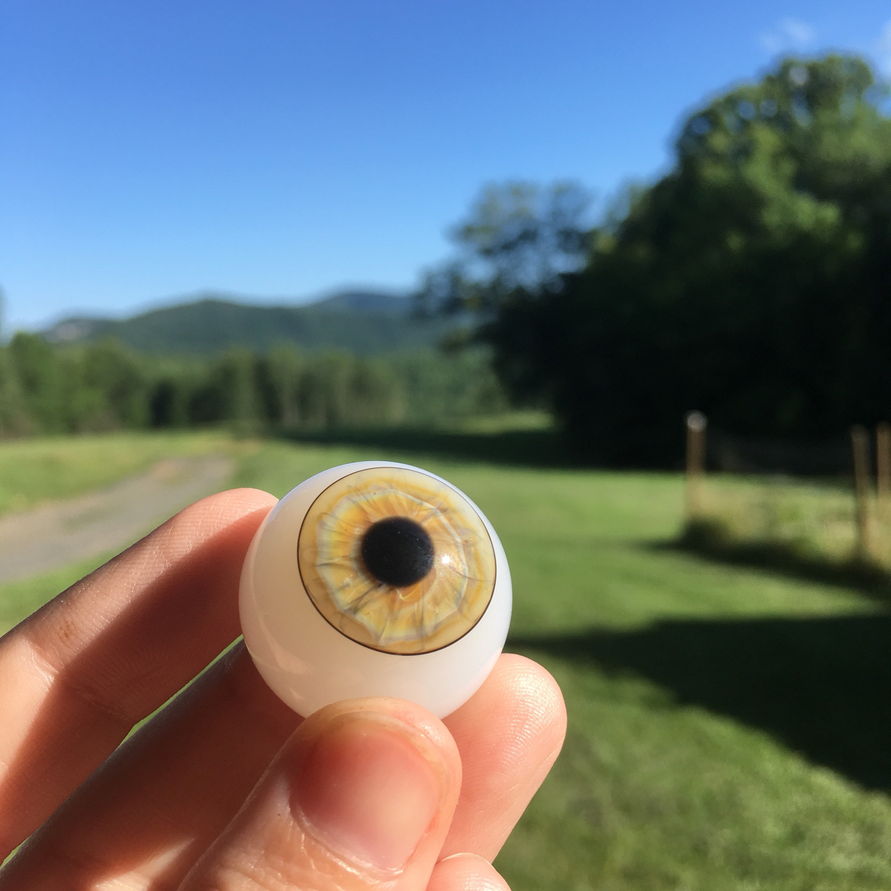 Glass Eyeball Marble Etsy