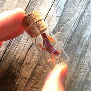 Pode incluir: Um pequeno frasco de vidro com uma rolha de cortiça contendo uma figura de coelho de vidro roxo e laranja.