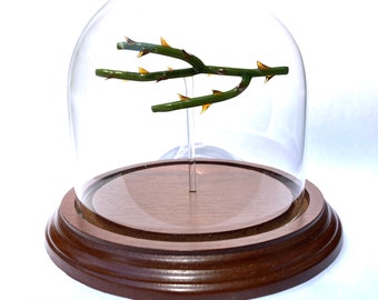 Rose Thorn Branch Bell Jar