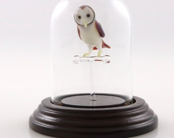 Barn Owl in a Bell Jar