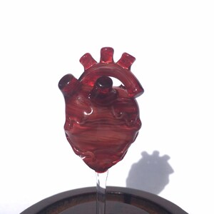 Anatomical Heart in a Bell Jar image 5