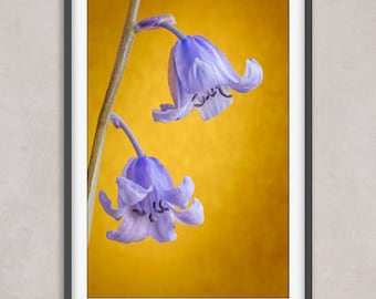 Bluebells Floral Art Print, Yellow Botanical Wall Decor