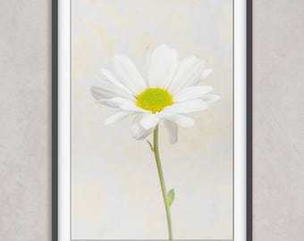 Vertical Daisy Fine Art Print, Minimalist Floral Photography