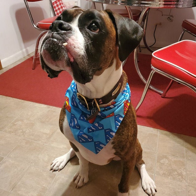 Dog bandana EXTRA LARGE dog bandana with buckle clip up Etsy