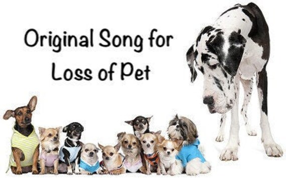 song for loss of dog