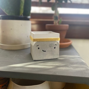 May include: A small, grey concrete planter with a white rim and a yellow yarn band around the top. The planter has a painted face with two eyes, a nose, and a smiling mouth.