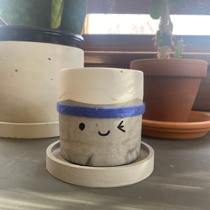 May include: A small, gray concrete planter with a blue band around the middle. The planter has a painted smiley face with one eye closed, as if winking. The planter is sitting on a matching gray concrete saucer.