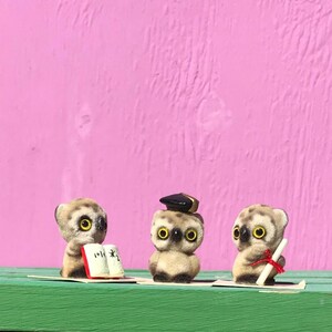 May include: Three small, fuzzy, beige and brown owl figurines with large yellow eyes. The left owl holds an open white book, the center owl wears a black graduation cap, and the right owl holds a white diploma tied with a red string.