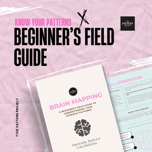 Puede incluir: Una guía impresa titulada Know Your Patterns Beginner's Field Guide con logotipo y texto en negro. La portada presenta el título Brain Mapping, una guía para principiantes para entender patrones intrínsecos, un icono de cerebro y el texto Curiosity before conclusions.