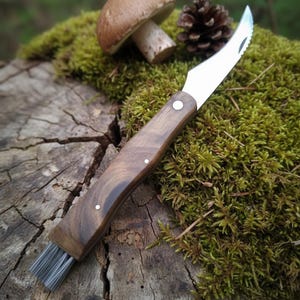 Personalized Mushroom Knife with Brush and Sheath. Curved Mushroom Knife with Natural Wood Handle. Unique Gift for Hiking and Mycology