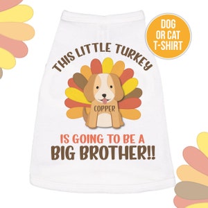 Big brother or big sister little turkey dog shirt - Thanksgiving dog shirt - great pregnancy announcement at Thanksgiving 22SNLF-024