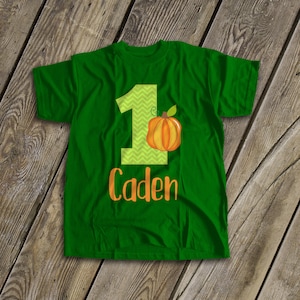 First 1st birthday pumpkin fall party DARK tshirt - second birthday third birthday pumpkin personalized birthday shirt - 22SNLF-007-D