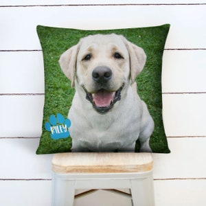 personalized  pet pillow gift custom dog pillow going away to college gift pet loss gift new pet gift college pet gift custom pet pillow