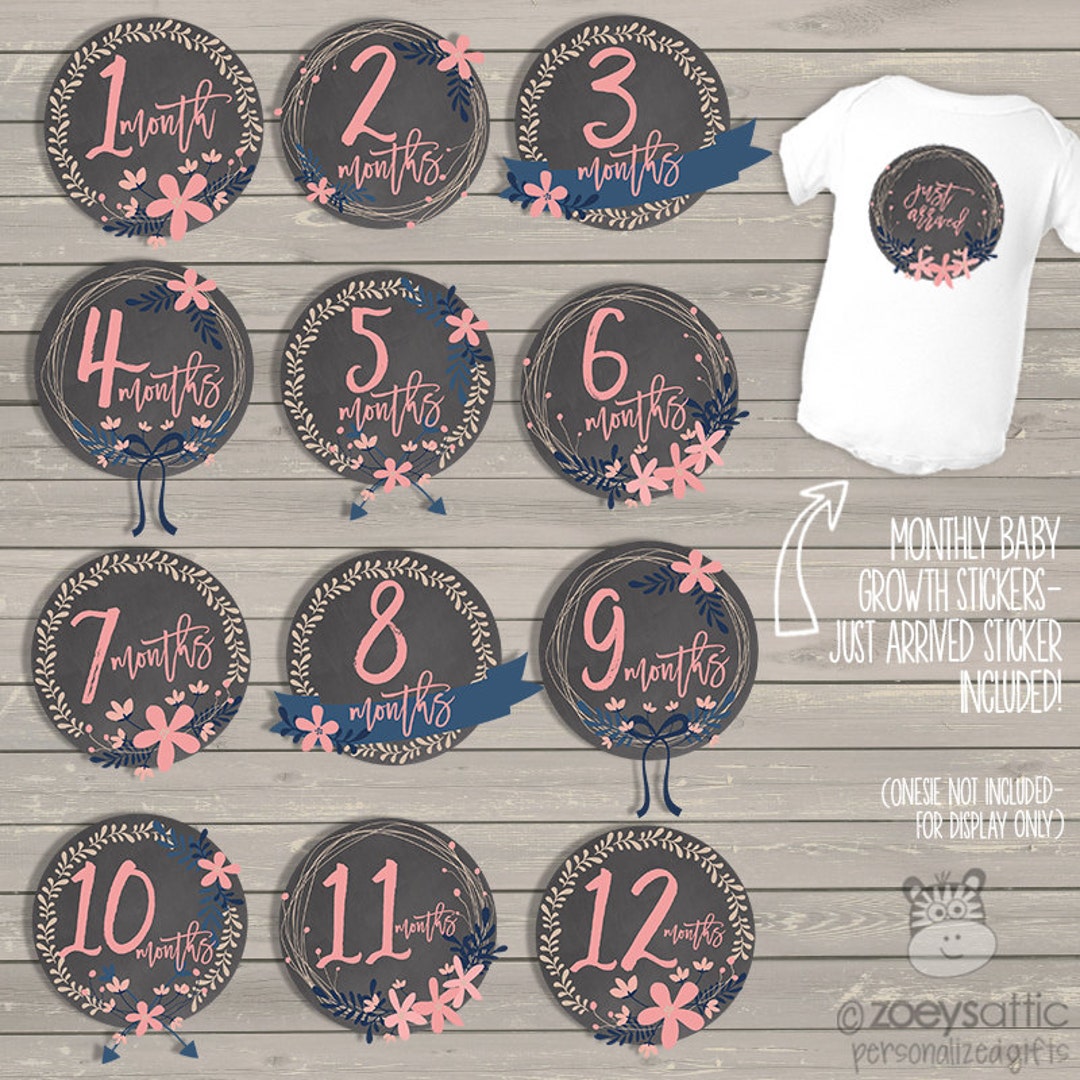Baby Monthly Milestone Stickers - Adorable Pink Flowers - Etsy